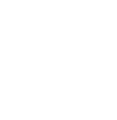           Жук-короед